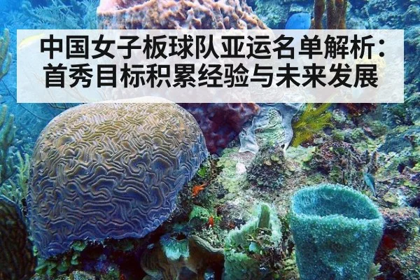 中国女子板球队亚运名单解析:首秀目标积累经验与未来发展